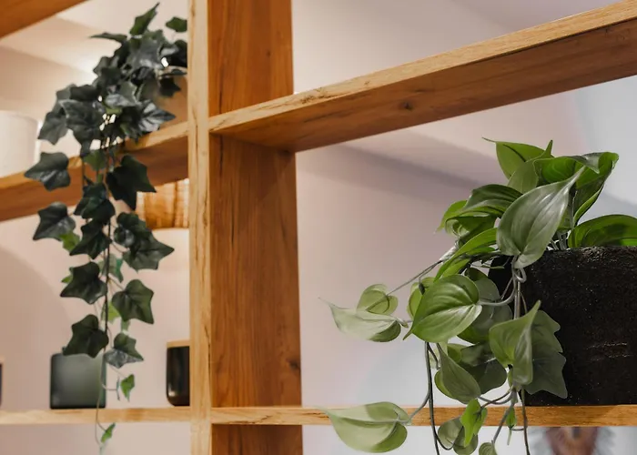 Gorskie Szczyty & 6 Sauna Jacuzzi I Parking W Cenie Apartment *