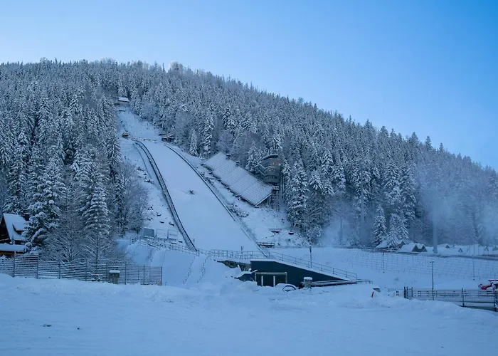 Apartment Gorskie Szczyty & 6 Sauna Jacuzzi I Parking W Cenie Zakopane